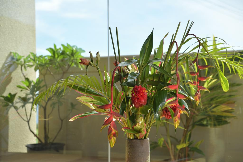 La Casita Kouri Villa Nakijin Luaran gambar