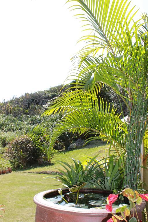 La Casita Kouri Villa Nakijin Luaran gambar
